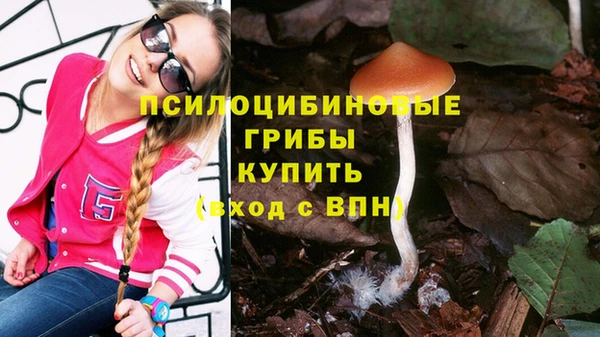 кокаин Алексин