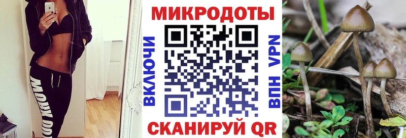 магазин продажи   Сочи  Псилоцибиновые грибы Psilocybine cubensis 