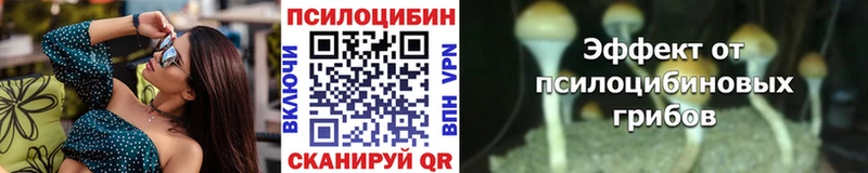 Галлюциногенные грибы Psilocybine cubensis Сочи