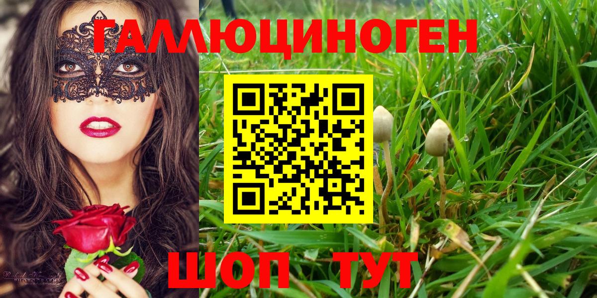 Сочи  Псилоцибиновые грибы ЛСД  Вход с VPN  Псилоцибиновые грибы ЛСД 